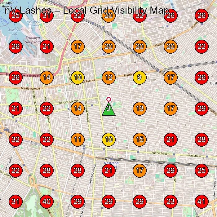 nV Lashes GeoGrid visibility map for Beauty Salon in Brooklyn